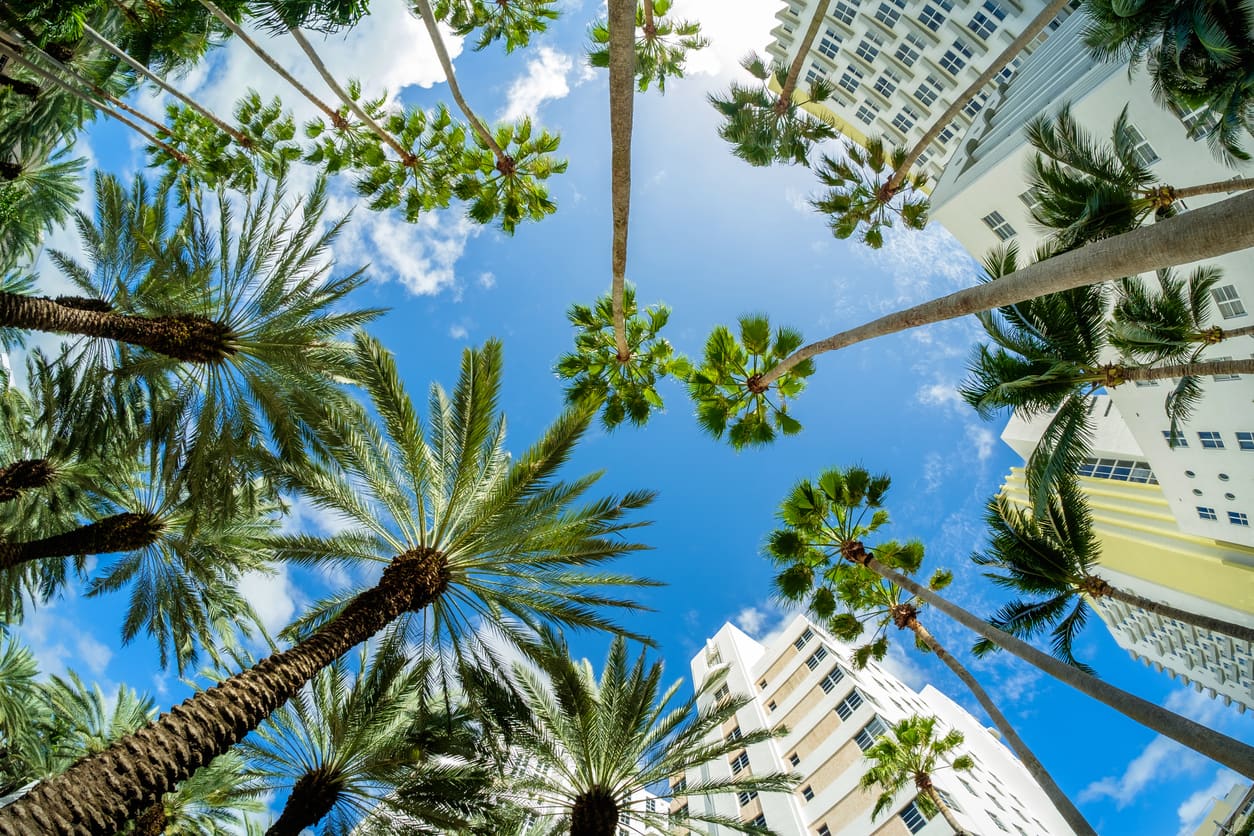 Why Move to Miami Beach?