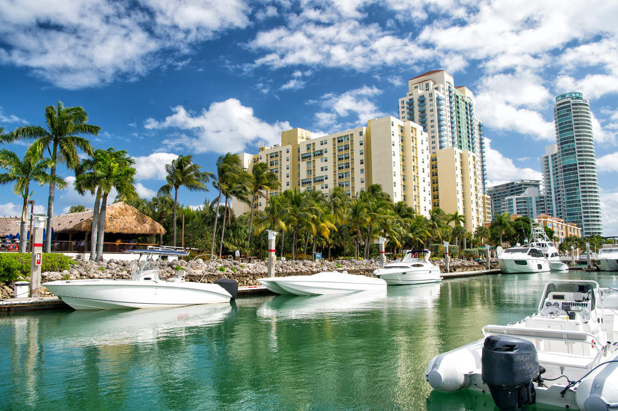 Pharrell is hunting for real estate in Miami